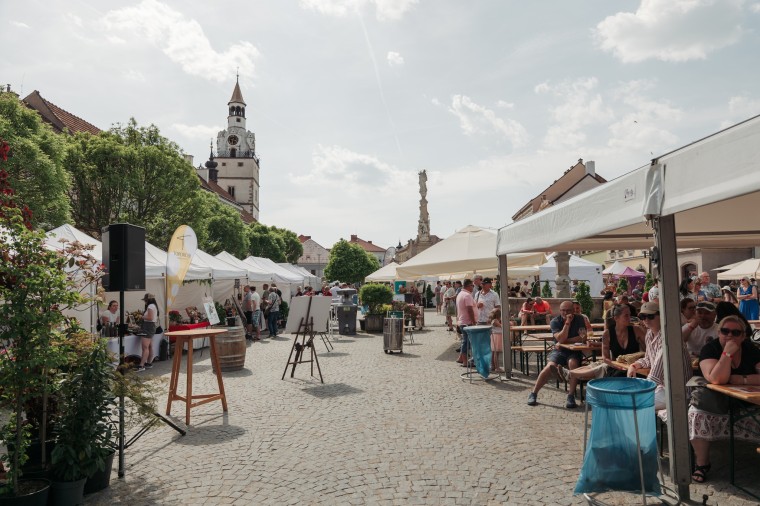 Slavnosti chřestu a vína 2026, foto Jan Dvořák (foto 6)