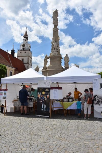 Slavnosti chřestu a vína 2022 (foto 13)