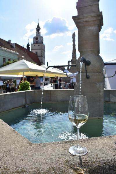 Slavnosti chřestu a vína 2023 (foto 7)