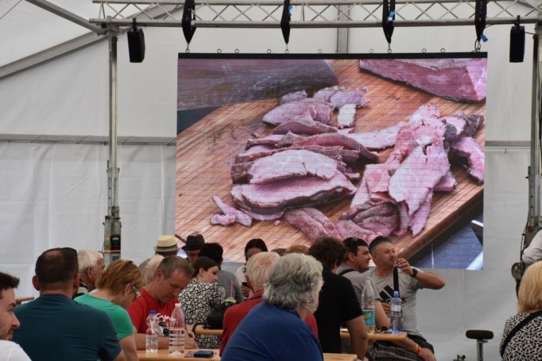 Slavnosti chřestu a vína 2023 (foto 9)