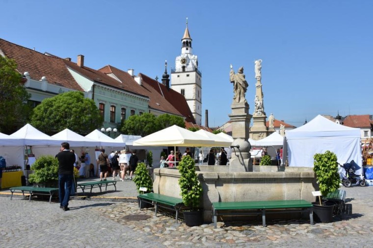 Slavnosti chřestu a vína 2023 (foto 10)