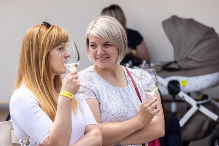 Slavnosti chřestu a vína 2023, foto Majda Slámová (foto 43)