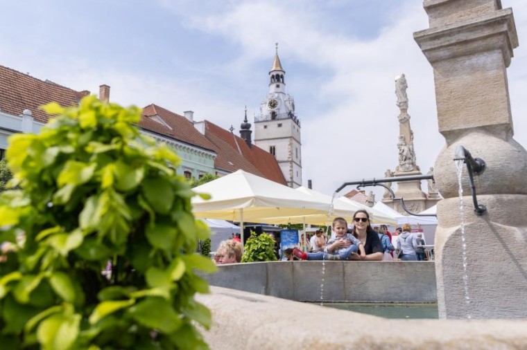Slavnosti chřestu a vína 2023, foto Majda Slámová (foto 46)
