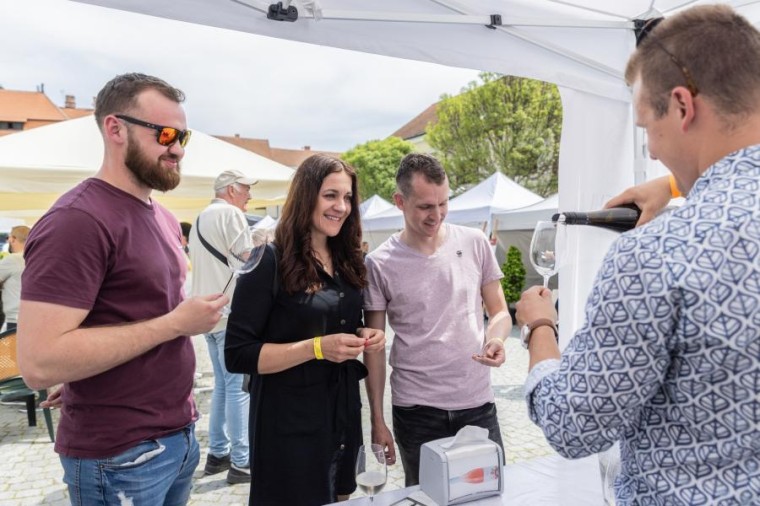 Slavnosti chřestu a vína 2023, foto Majda Slámová (foto 51)
