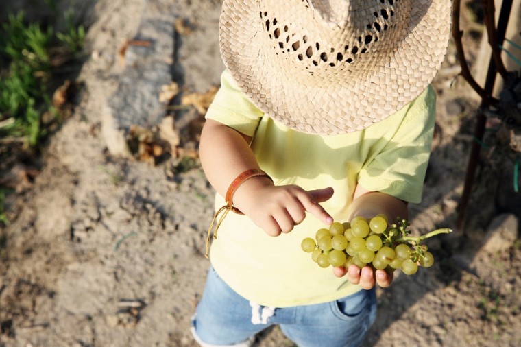 Víno z Trboušan - Jiří Korber