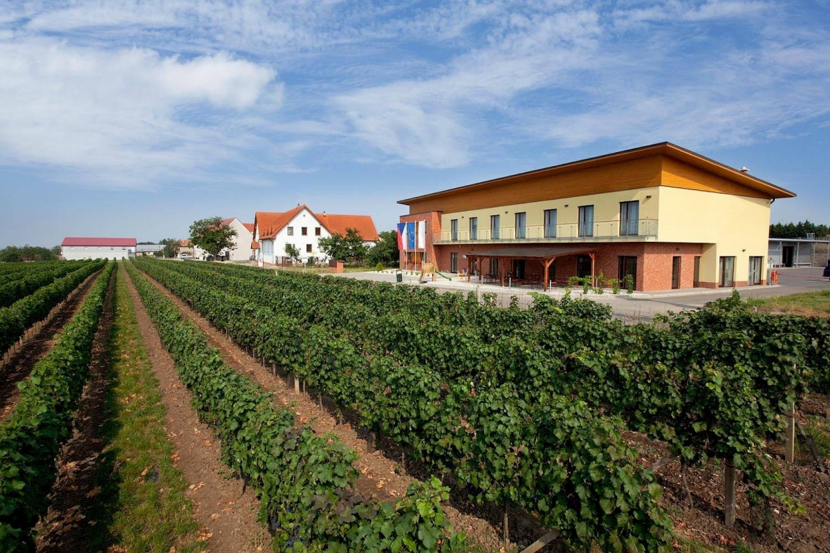 Restaurace & Rodinné vinařství Skoupil (Velké Bílovice)