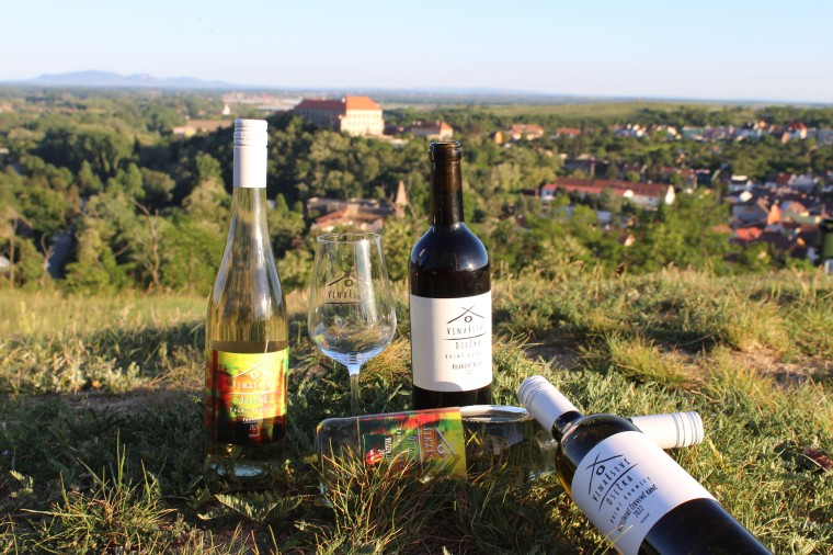 Vinařství Kamil Osička (Dolní Kounice) (foto 2)