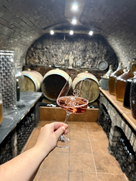 Vinařství LARA (Moravský Krumlov) (foto 3)