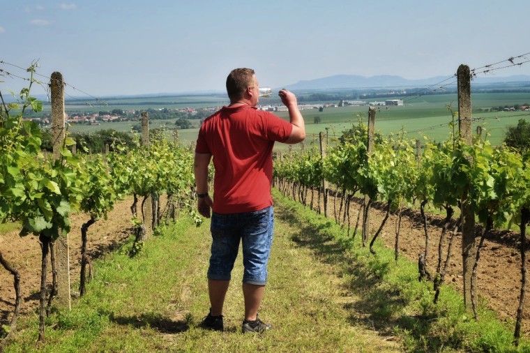 Vinařství U švárů (Bohutice) (foto 1)