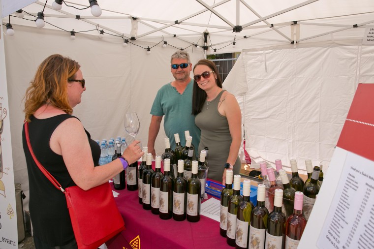 Vinařství U švárů (Bohutice) (foto 3)