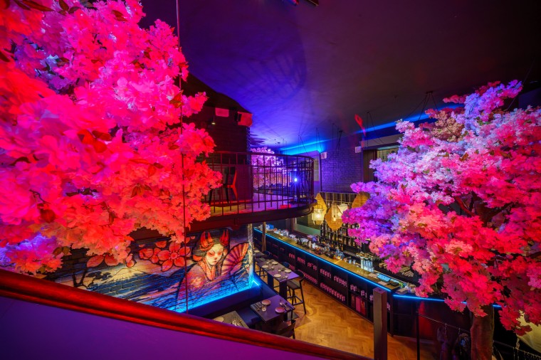 Maneko (Brno) (foto 1)